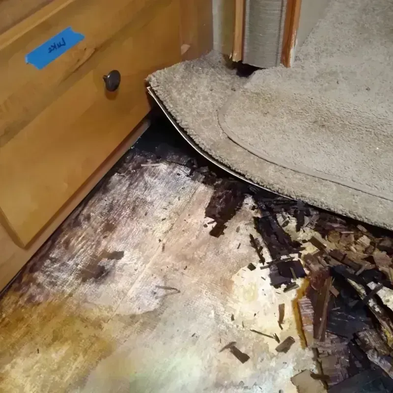 Wood Floor Water Damage in Sac County, IA